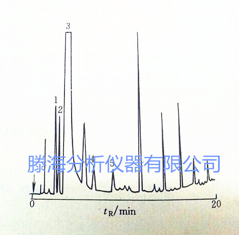 气相色谱仪